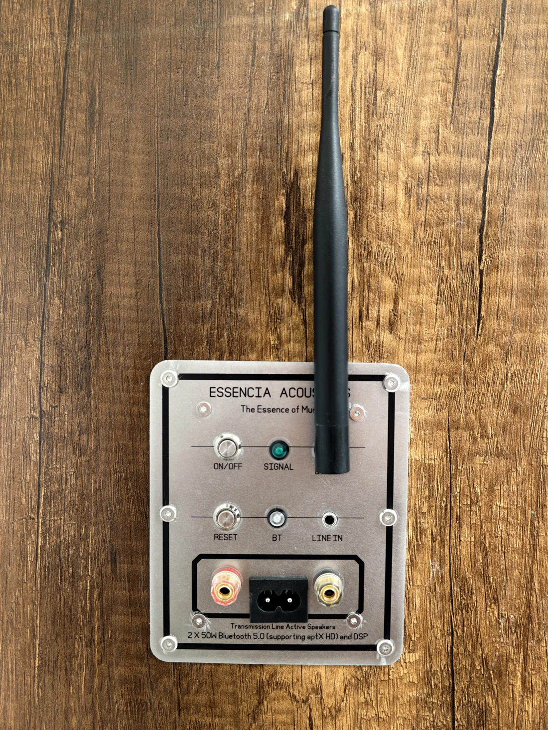 Original photograph of an Esséncia Active rear panel showing line input, Bluetooth antenna and controls.